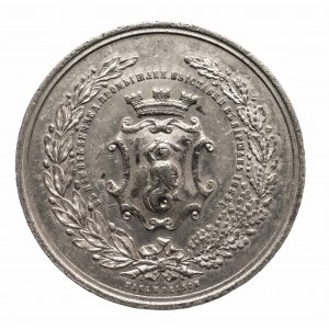 POLAND, 19th century - medal from the partition period made to commemorate the Agricultural and Industrial Exhibition in Warsaw, 1885.