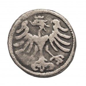 Polen, Aleksander Jagiellończyk (1501-1506), Halbpfennig ohne Datum auf Denargröße geschnitten, Krakau
