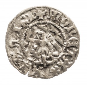 Polen, Kasimir IV. Jagiellone (1446-1492), halber Pfennig - umgekehrtes S, Krakau (1)