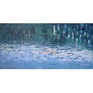Łukasz Zedlewski, Acqua I