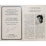 Igor Mitoraj, Rüstung (Cuirasse)