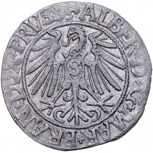 Prusy Książęce, Albrecht Hohenzollern 1525-1568, Grosz 1543, Królewiec.