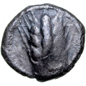 Greece, Lucania, Metapontum, Obol, 540-510 BC.