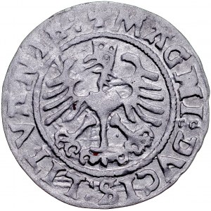 Zygmunt I Stary 1506-1548, Półgrosz 1525, Wilno.
