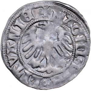 Aleksander Jagiellończyk 1501-1506, Półgrosz, Wilno.
