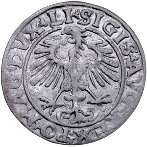 Zygmunt II August 1545-1572, Półgrosz 1554, Wilno, R.