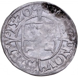 Pomorze, Bogusław X 1478-1523, Szeląg 1520, Szczecin.