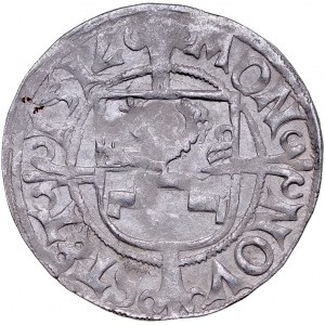 Pomorze, Bogusław X 1478-1523, Szeląg 151V, Szczecin.