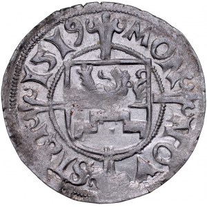 Pomořansko, Boguslaw X 1478-1523, Shelag 1519, Štětín.