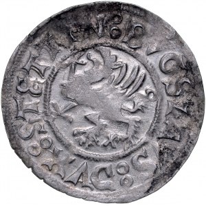 Pomoransko, Boguslaw X 1478-1523, Shelag 1519, Štetín.