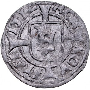 Pomorze, Bogusław X 1478-1523, Wit 151V, Szczecin.
