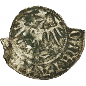 Casimir IV Jagiellon, Half groschen no date Krakau - letters TM - VERY RARE