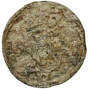 Sigismund III Vasa, 2 Denarius Vilnius 1621