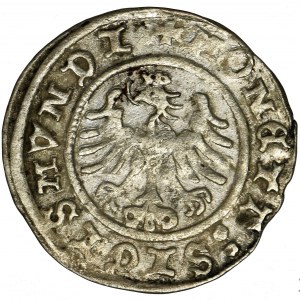 Sigismund I the Old, Halfgroat Krakau 1507