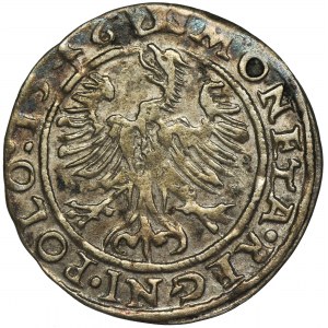 Sigismund I the Old, Groschen Krakau 1546 ST