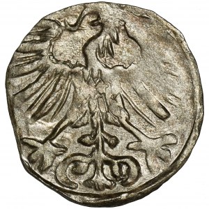 Sigismund II August, Denarius Vilnius 1557