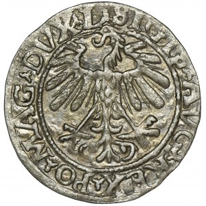 Zygmunt II August, Półgrosz Wilno 1558 - L/LITVA