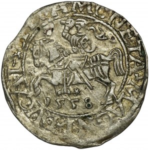 Zygmunt II August, Półgrosz Wilno 1558 - LI/LITVA