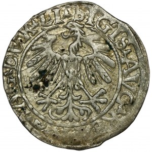Sigismund II August, 1/2 Groschen Vilnius 1558 - LI/LITVA