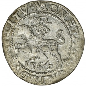 Zygmunt II August, Półgrosz Wilno 1564 - L/LITV
