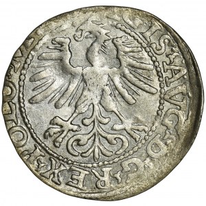 Sigismund II August, 1/2 Groschen Vilnius 1564 - L/LITV