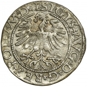 Sigismund II August, 1/2 Groschen Vilnius 1565