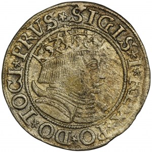 Sigismund I the Old, Groschen Thorn 1533 - PRVS