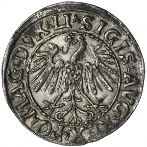 Zygmunt II August, Półgrosz Wilno 1547 - LI/LITVA