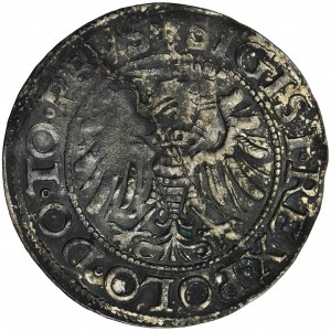 Sigismund I the Old, Groschen Elbing 1539 - PRVS, sword left