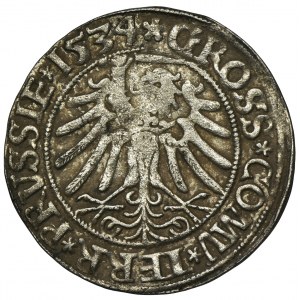 Sigismund I the Old, Groschen Thorn 1534 - PRVSSIE