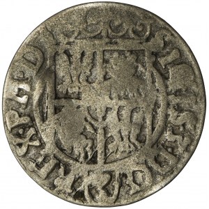 Sigismund III Vasa, 3 Polker Bromberg 1621