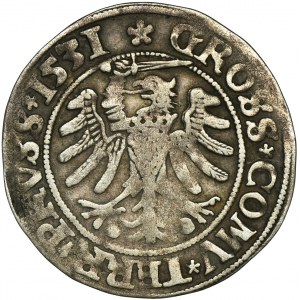 Zygmunt I Stary, Grosz Toruń 1531 - PRVS