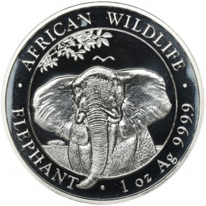 Somalia, 100 Shillings 2021 African fauna - African elephant