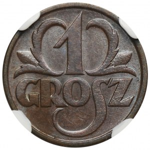 1 grosz 1931 - NGC MS64 BN