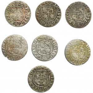 Set, Sigismund III Vasa, 3 Polker (7 pcs.)