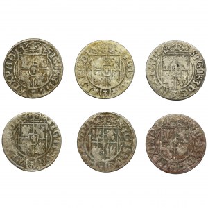 Set, Sigismund III Vasa, 3 Polker (6 pcs.)