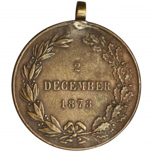 Austria, Franciszek Józef I, Medal wojenny 1873