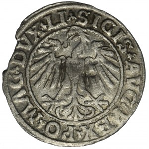 Zygmunt II August, Półgrosz Wilno 1547 - LI/LITVA
