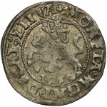 Sigismund II August, Halfgroat Vilnius 1546 - VERY RARE