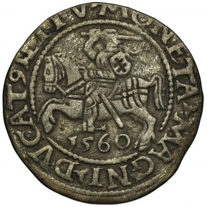 Zygmunt II August, Półgrosz Wilno 1560 - L/LITV