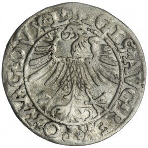 Sigismund II August, 1/2 Groschen Vilnius 1563 - L/LITV