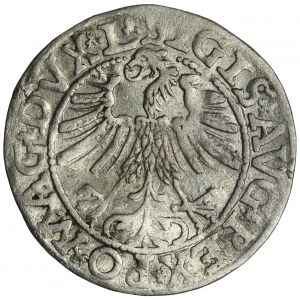 Zygmunt II August, Półgrosz Wilno 1563 - L/LITV - RZADSZY