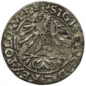 Sigismund II August, 1/2 Groschen Vilnius 1564 - L/LITV