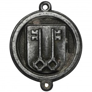 Germany, Third Reich, WHW Gau Moselland badge
