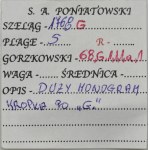 Set, Poniatowski, Schillings (2 pcs.)
