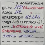 Poniatowski, Groschen Warsaw 1791 EB - ILUSTRATED