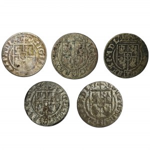 Set, Sigismund III Vasa, 3 Polker (5 pcs.)