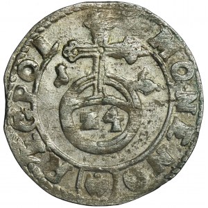 Zygmunt III Waza, Półtorak Bydgoszcz 1615 - SIGIS, RZADKI