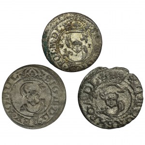 Set, Sigismund III Vasa, Schillings (3 pcs.)