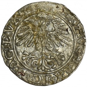 Sigismund II August, 1/2 Groschen Vilnius 1561 - LI/LITVA